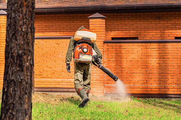 Bed Bug Clearance Verification and Documentation in Lake Isabella